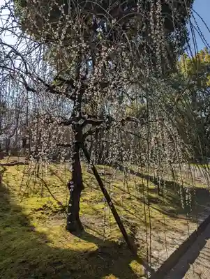 城南宮(京都府)