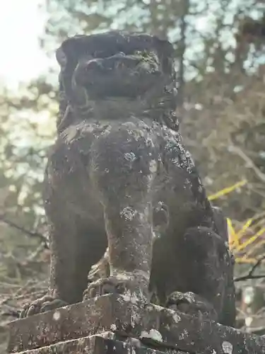 北口本宮冨士浅間神社の狛犬