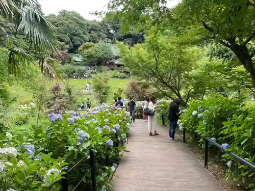 本土寺の庭園