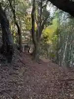 小池安房神社(千葉県)