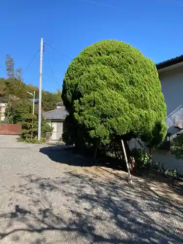 玉泉寺(神奈川県)