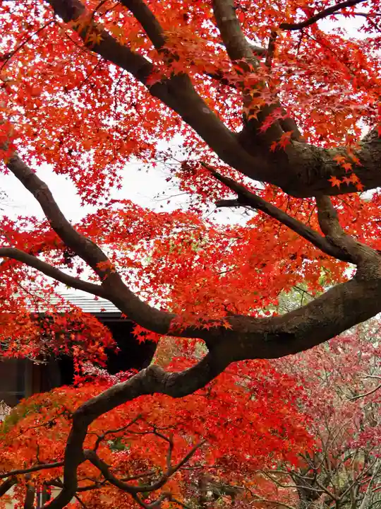 鎌倉宮(神奈川県)