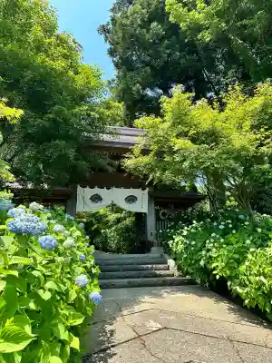雲昌寺の{uncategorized: "未分類", other: "その他", undefined: "問題あり", building: "その他建物", grave: "お墓", sacred_gate: "鳥居", guardian: "狛犬", statue: "像", buddha: "仏像", history: "歴史", nature: "自然", garden: "庭園", animal: "動物", pagoda: "塔", temizu: "手水舎", mountain_gate: "山門・神門", sanctuary: "本殿・本堂", subordinate: "末社・摂社", art: "芸術", scenery: "景色", jizo: "地蔵", ema: "絵馬", goshuin: "御朱印", omikuji: "おみくじ", items: "授与品その他", amulet: "お守り", goshuincho: "御朱印帳", eats: "食事", festival: "お祭り", votive_dance: "神楽", shichigosan: "七五三参", wedding: "結婚式", experience: "体験その他", initially: "初詣", around: "周辺", anti_infection: "感染症対策"}