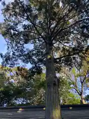 鹿嶋神社の建物その他