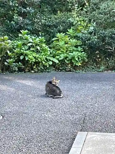 白金氷川神社(東京都)