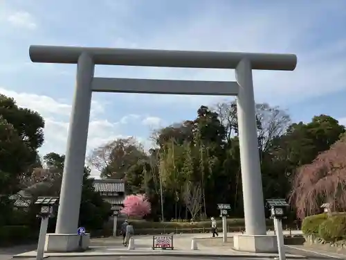 櫻木神社の鳥居