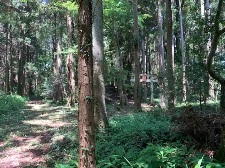 天満天神宮(千葉県)