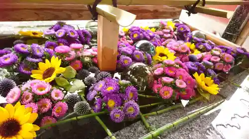 浅草神社の手水舎