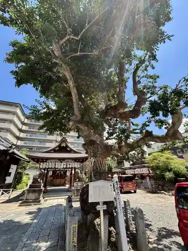 金札宮(京都府)