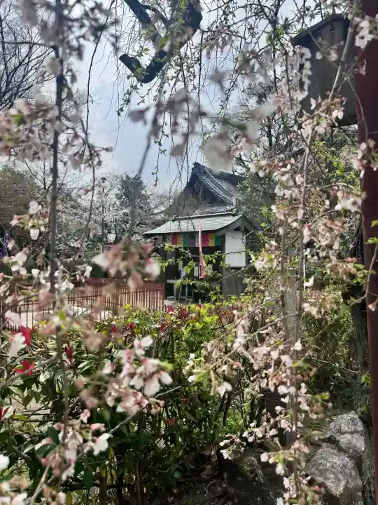 長建寺の{uncategorized: "未分類", other: "その他", undefined: "問題あり", building: "その他建物", grave: "お墓", sacred_gate: "鳥居", guardian: "狛犬", statue: "像", buddha: "仏像", history: "歴史", nature: "自然", garden: "庭園", animal: "動物", pagoda: "塔", temizu: "手水舎", mountain_gate: "山門・神門", sanctuary: "本殿・本堂", subordinate: "末社・摂社", art: "芸術", scenery: "景色", jizo: "地蔵", ema: "絵馬", goshuin: "御朱印", omikuji: "おみくじ", items: "授与品その他", amulet: "お守り", goshuincho: "御朱印帳", eats: "食事", festival: "お祭り", votive_dance: "神楽", shichigosan: "七五三参", wedding: "結婚式", experience: "体験その他", initially: "初詣", around: "周辺", anti_infection: "感染症対策"}