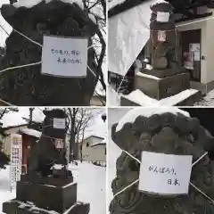 星置神社の狛犬