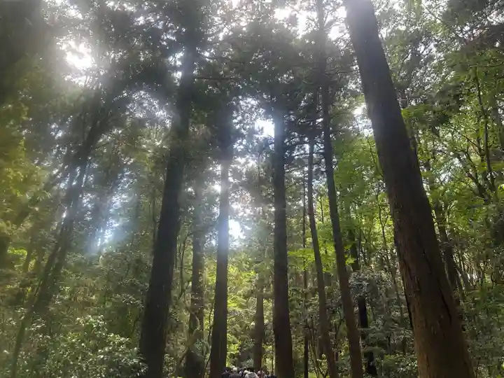 鹿島神宮(茨城県)
