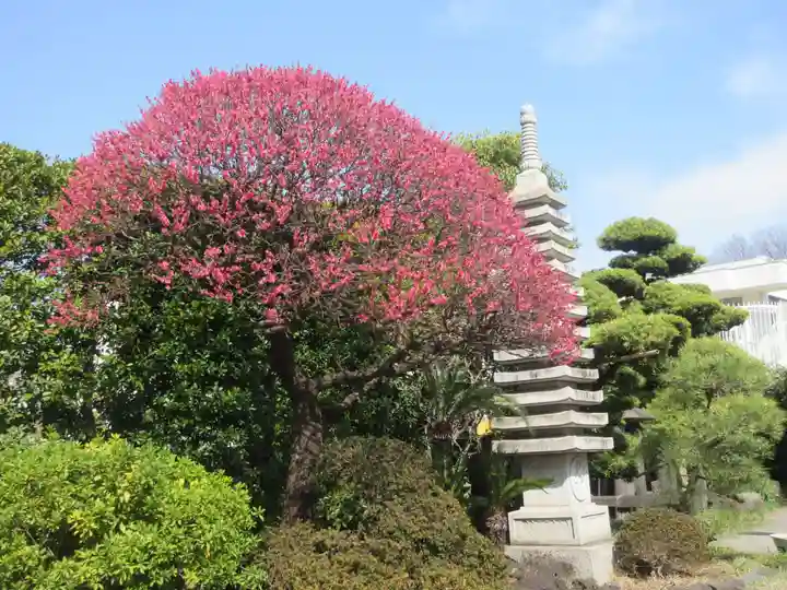 大久寺(東京都)