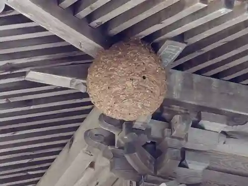 隠津島神社(福島県)
