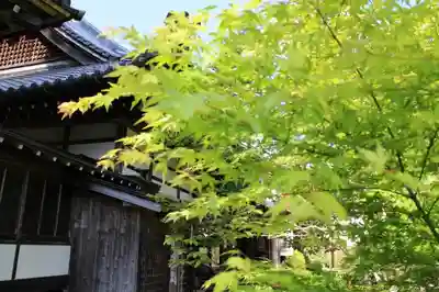 高照寺のその他建物