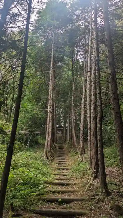 若宮八幡社(東京都)