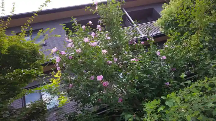 梨木神社の自然