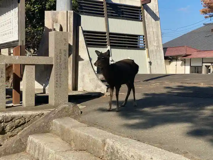 金華山黄金山神社(宮城県)