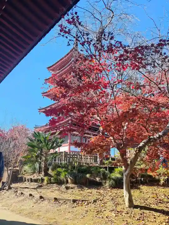 本土寺(千葉県)