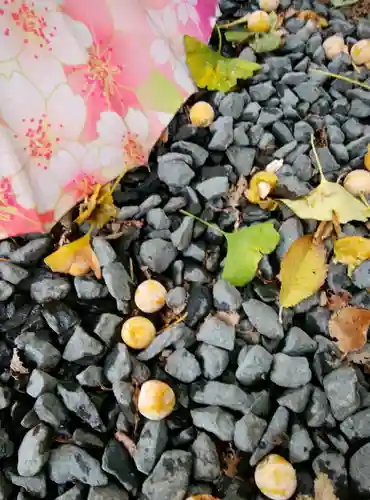 札幌諏訪神社の自然