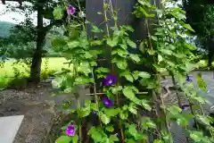 高司神社〜むすびの神の鎮まる社〜の自然