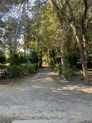 結城諏訪神社の自然