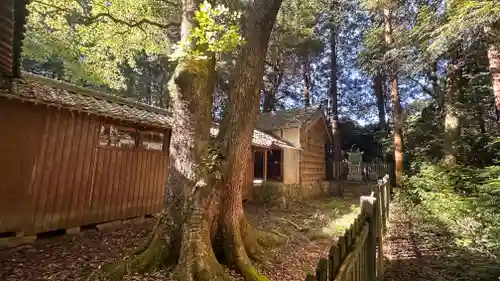 阿由多神社(三重県)