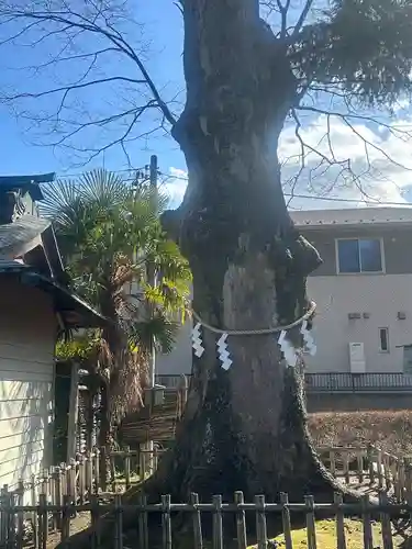 竹駒神社(宮城県)