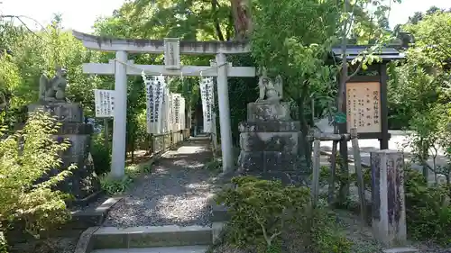 開成山大神宮の鳥居