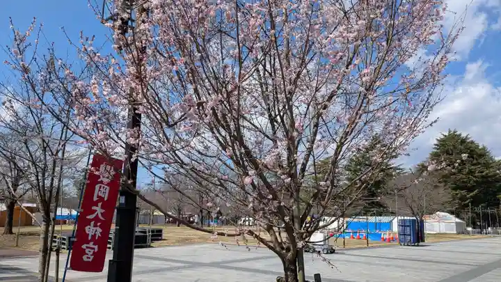 櫻岡大神宮の自然