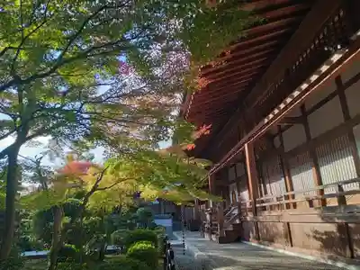 伊勢寺(大阪府)