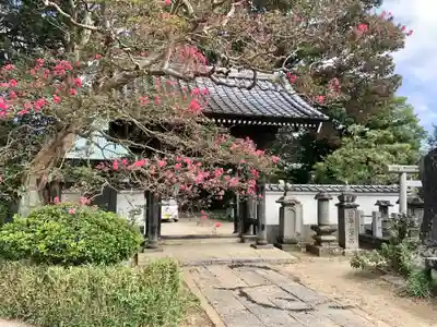 般若院の山門・神門