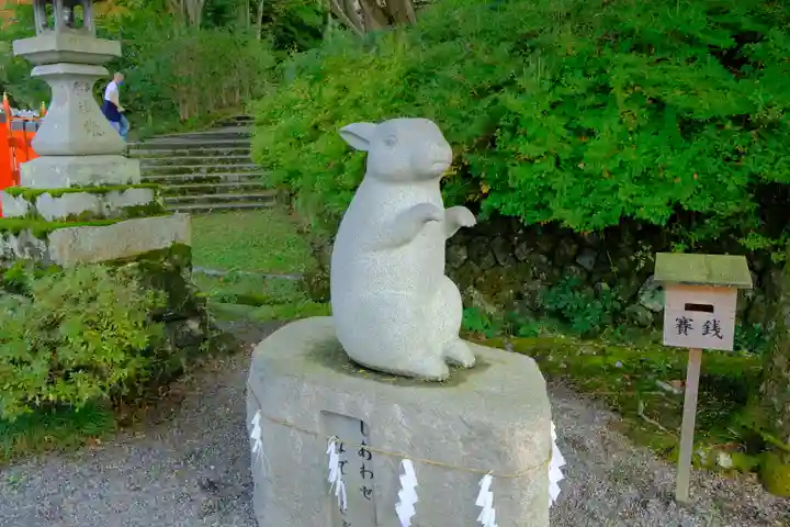 出雲大神宮の狛犬