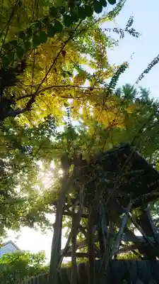 祐専寺のその他建物