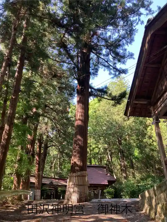 田沢神明宮(長野県)