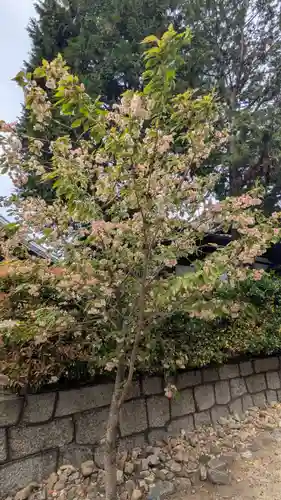 本法寺(京都府)