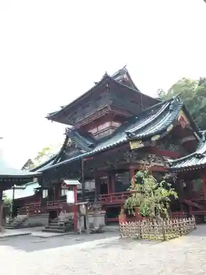 静岡浅間神社の本殿・本堂