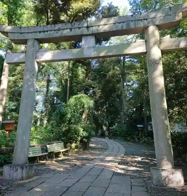 代々木八幡宮の鳥居
