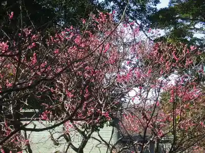 荏柄天神社のその他建物