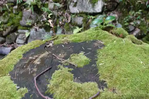 烏帽子形八幡神社の自然