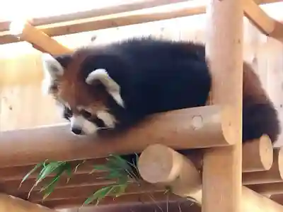 妙法寺(福井県)