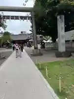 浅草神社の鳥居