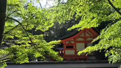 出雲大神宮の本殿・本堂