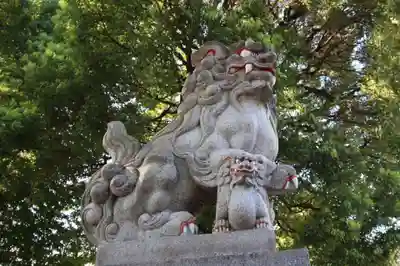 荻窪白山神社の狛犬