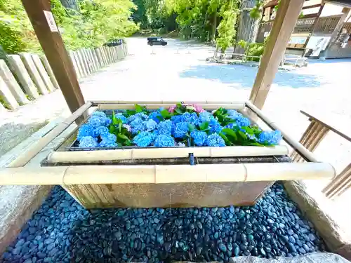 伊太祁曽神社の手水舎
