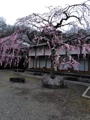 芳盛寺(神奈川県)