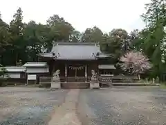 竹生神社の本殿