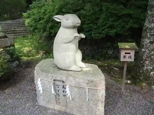 出雲大神宮の狛犬