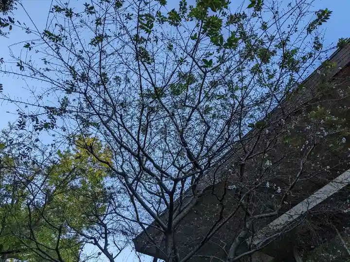 熱田神宮の自然