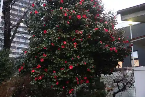 晴門田神社の庭園